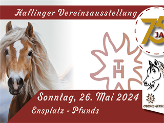Haflinger Vereinsausstellung